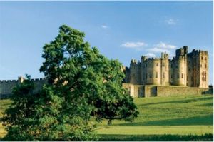 cook and barker northumberland features and attractions in the area